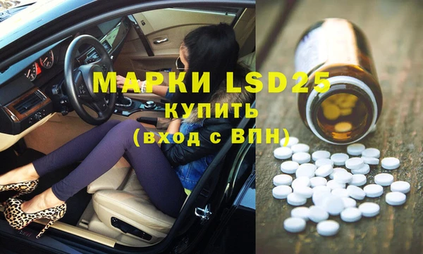 сатива Михайловка