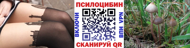 Псилоцибиновые грибы Psilocybe  Старый Оскол 